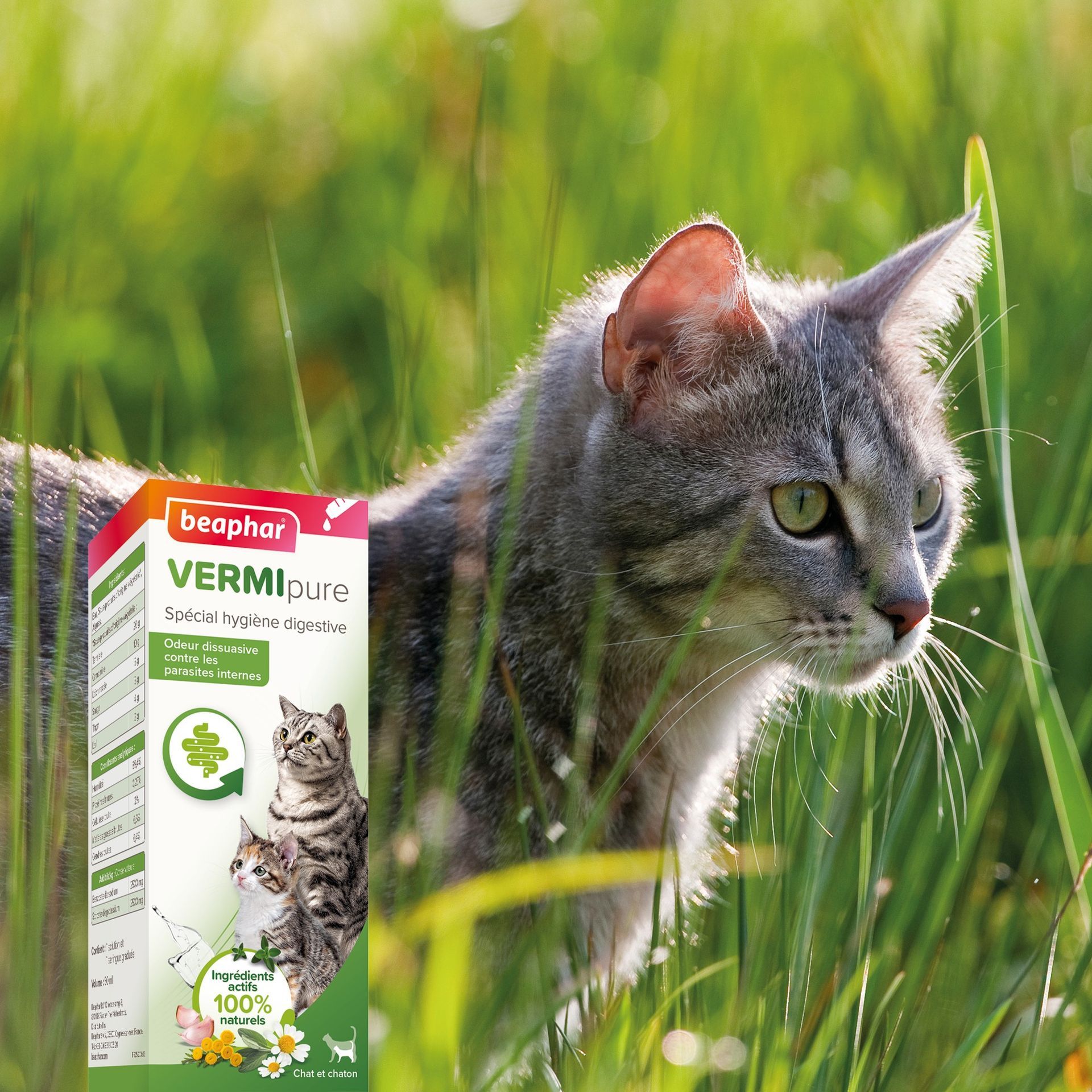 Vermipure, aliment complémentaire liquide pour l’hygiène digestive du chaton et du chat 50 ml – Beaphar