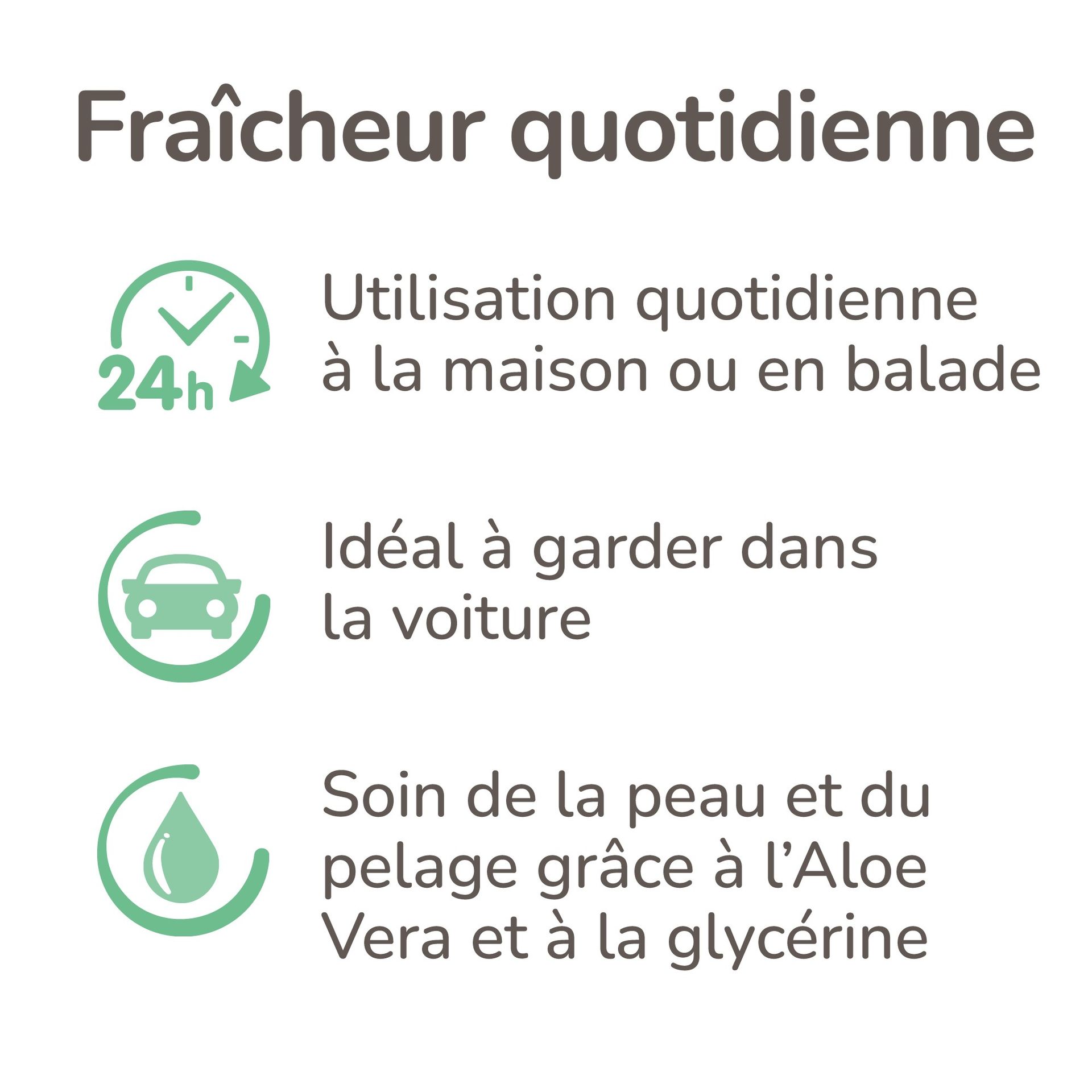 Spray sans rinçage Chien mouillé 250 ml – Beaphar