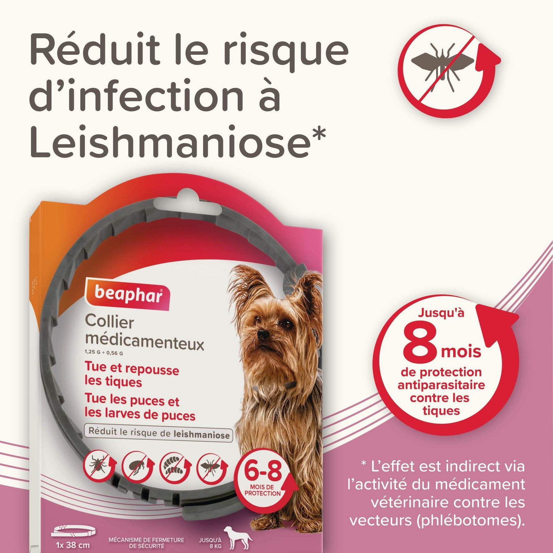 Collier antiparasitaire pour petit chien jusqu’à 8 kg 38 cm x1 – Beaphar - vue 5