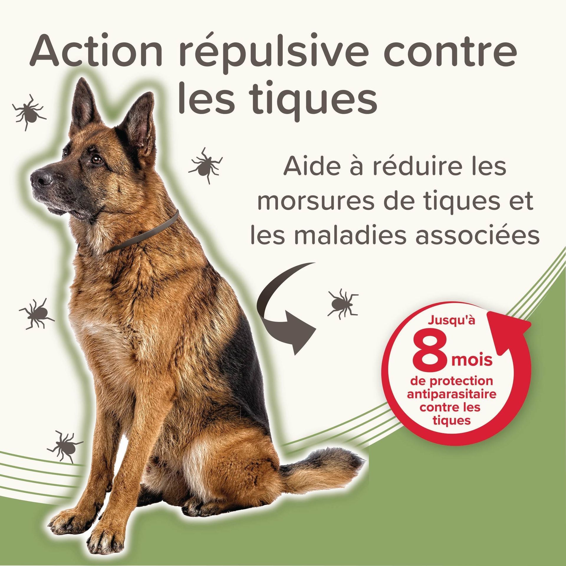 Collier antiparasitaire pour chien de plus de 8 kg 70 cm x1 – Beaphar - vue 6