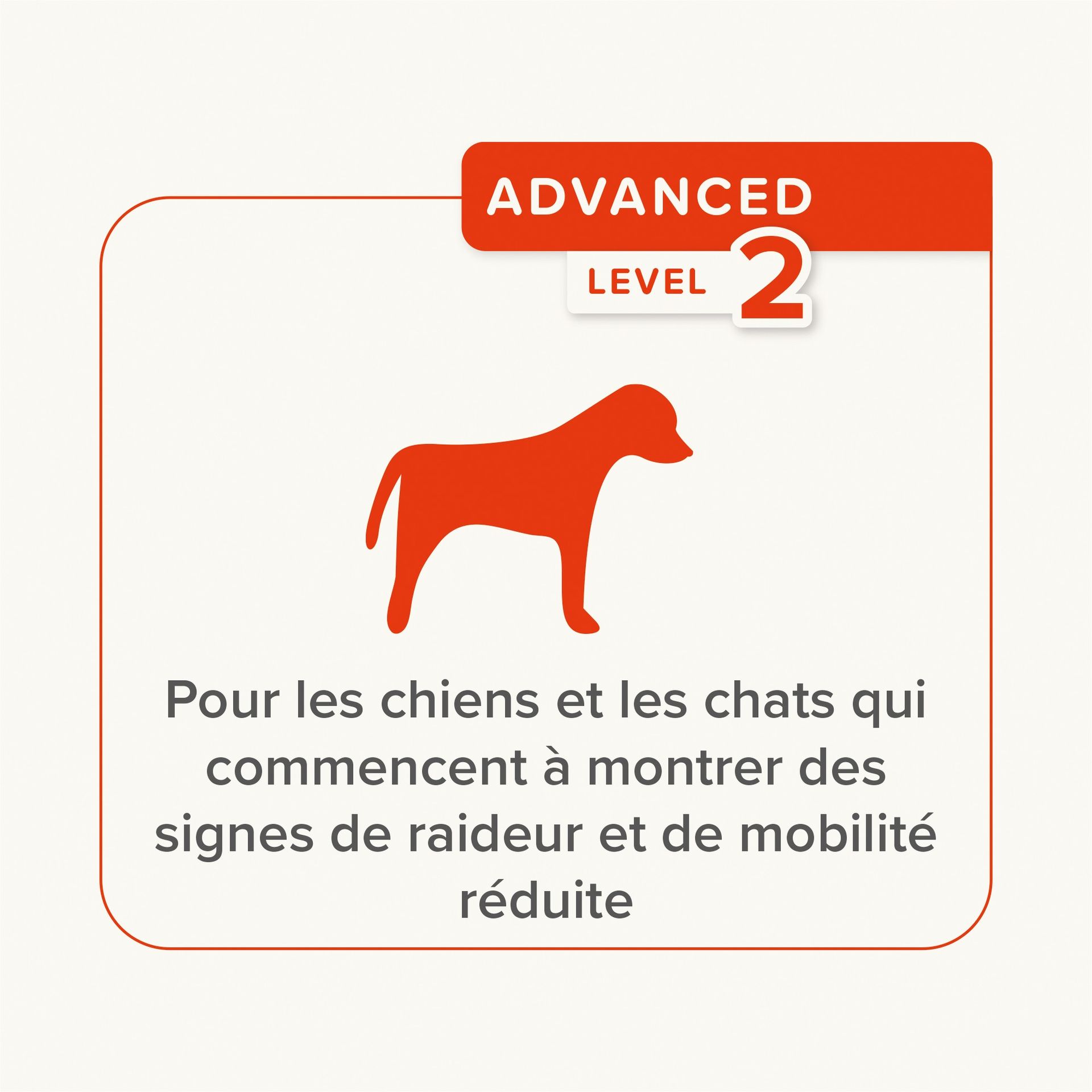 Pâte FLEXIFIT pour chiens et chats 250 g - BEAPHAR