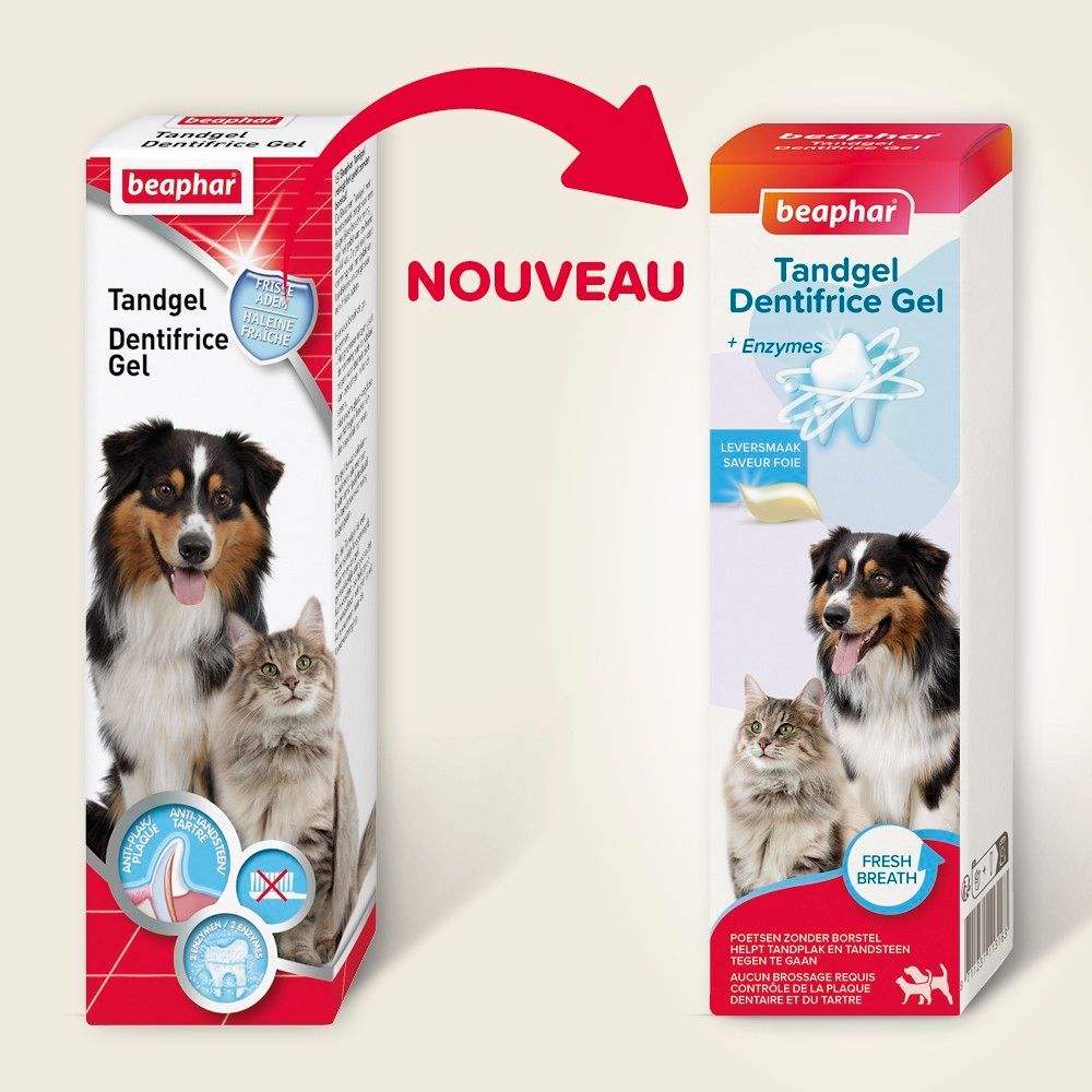 Dentifrice en gel haleine fraîche pour chat - BEAPHAR