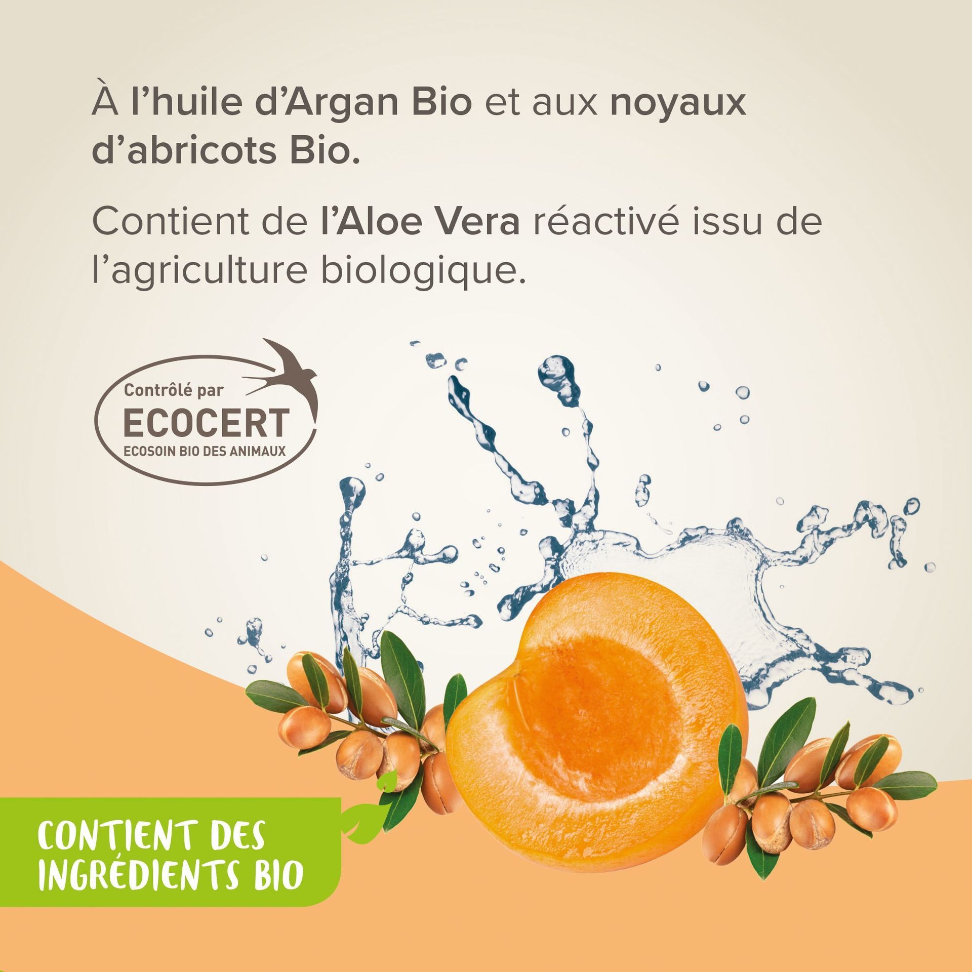 Shampoing démélant pour chien Bio 200ml - BEAPHAR
