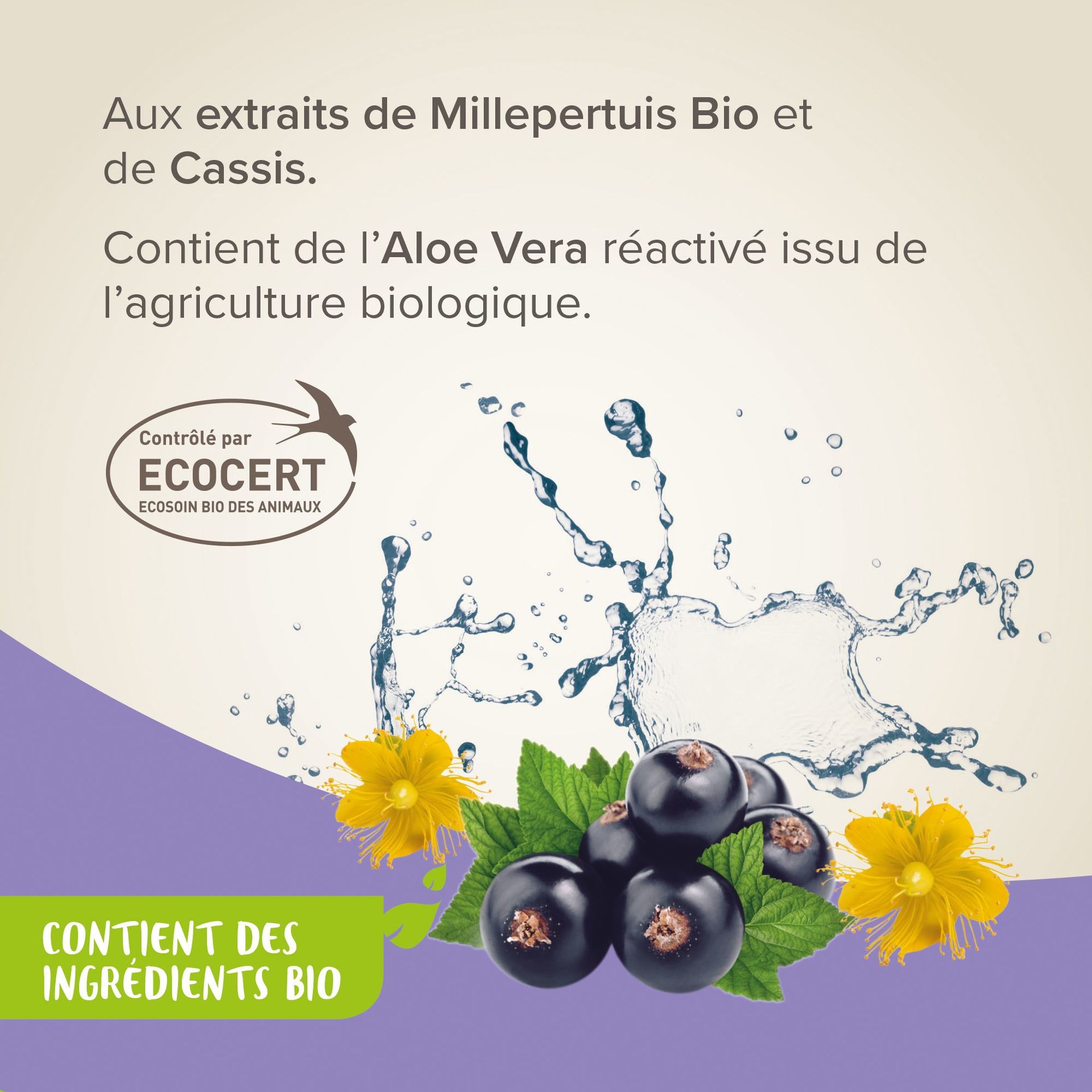 Shampoing Bio anti-démangeaisons pour chien 200ml - BEAPHAR