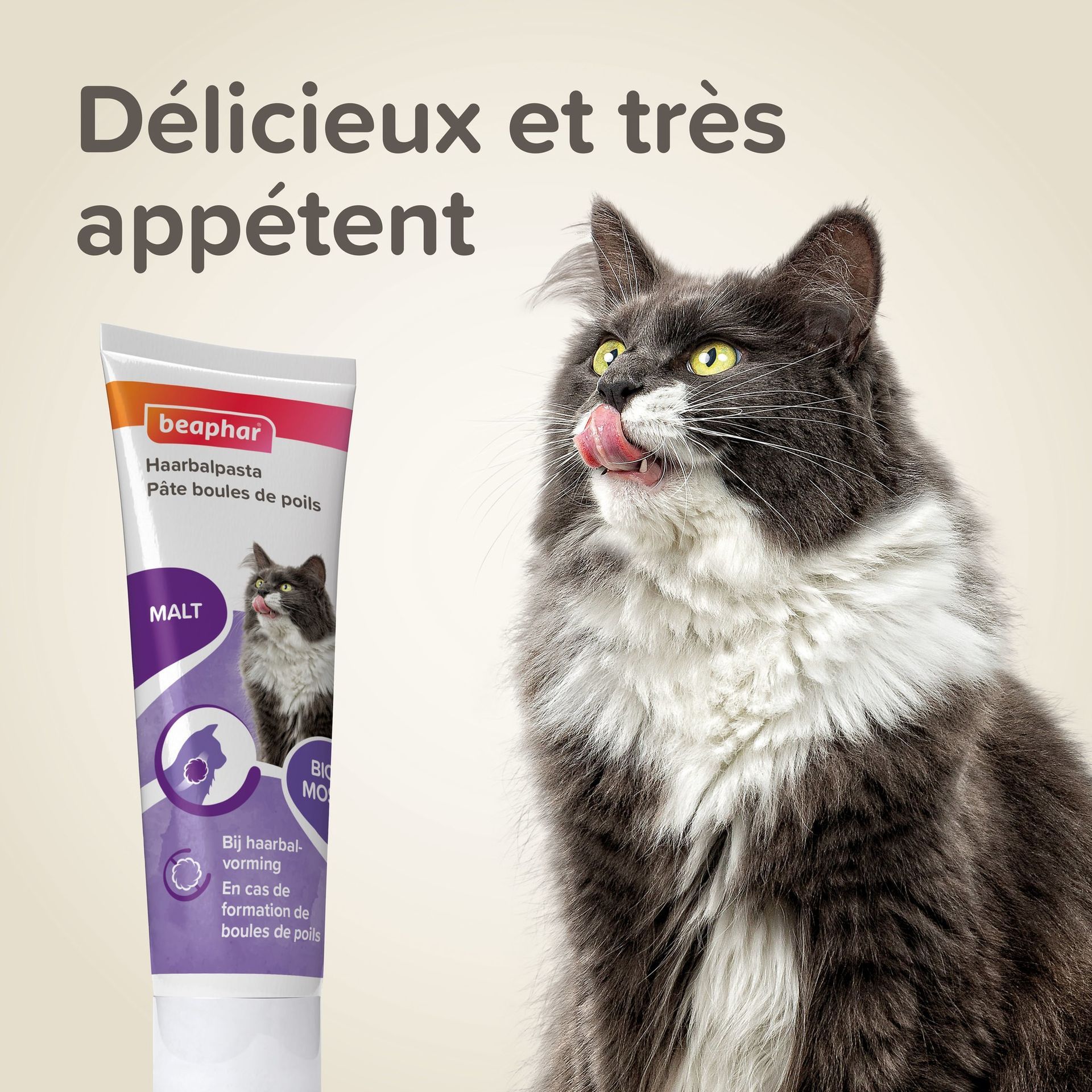 Pâte anti-boules de poils au malt pour chat 100 g – Beaphar