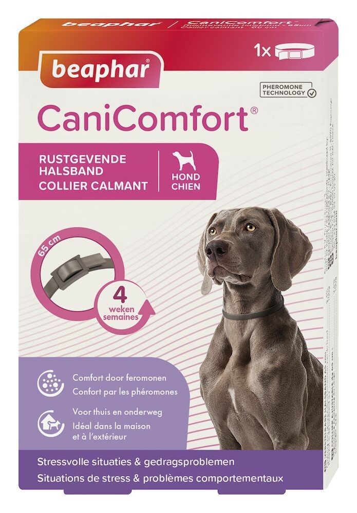 Collier calmant aux phéromones pour chien CaniComfort - BEAPHAR