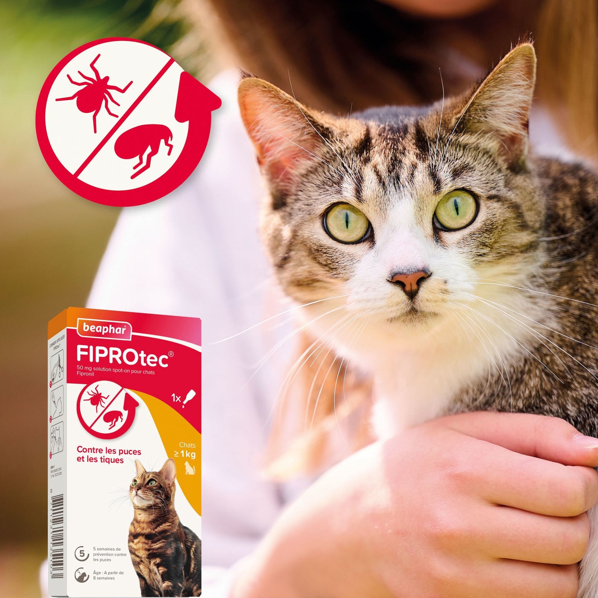 FIPROtec 50 mg solution spot-on pour chats x1 – Beaphar