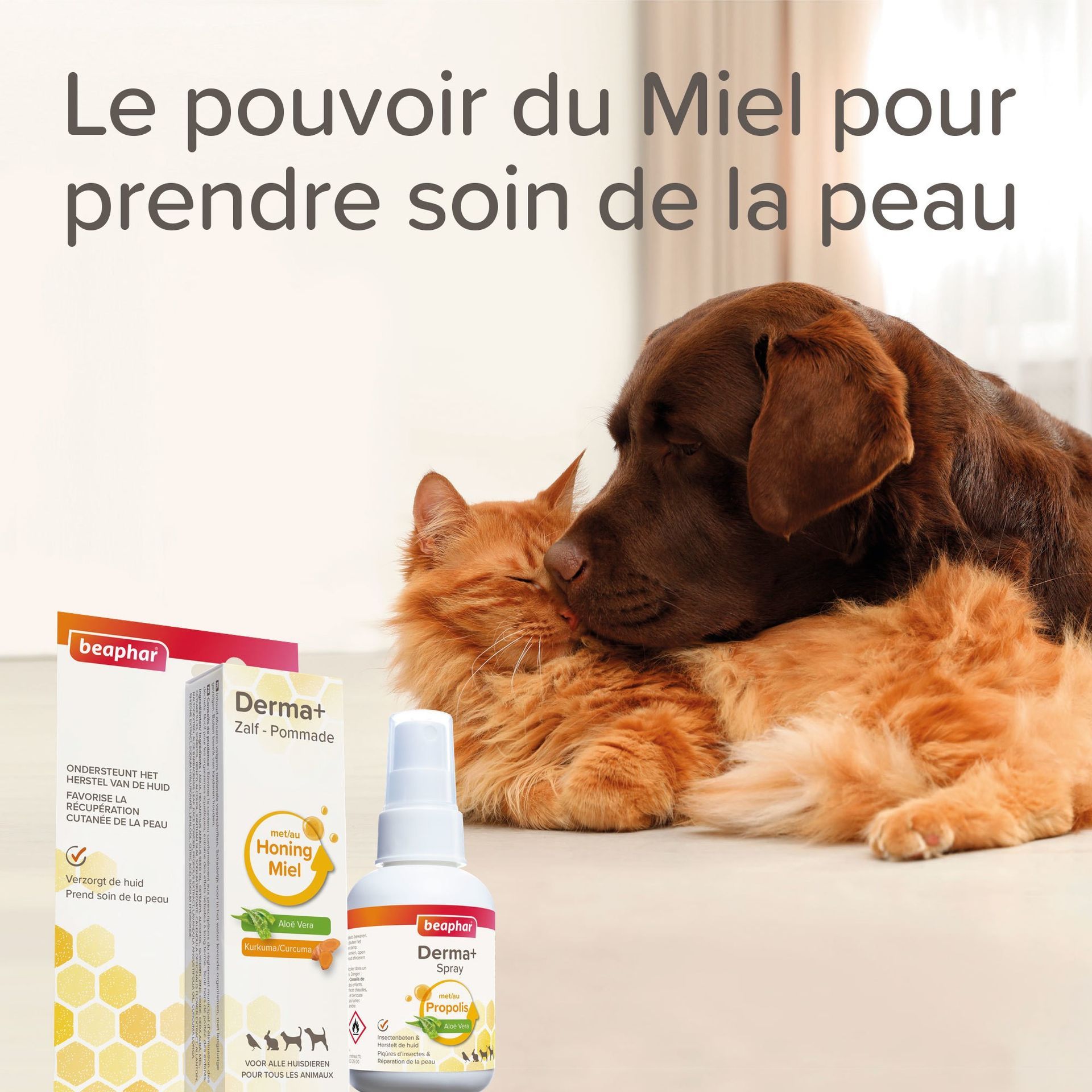 Spray pour plaies pour chat et chien 75 ml - BEAPHAR