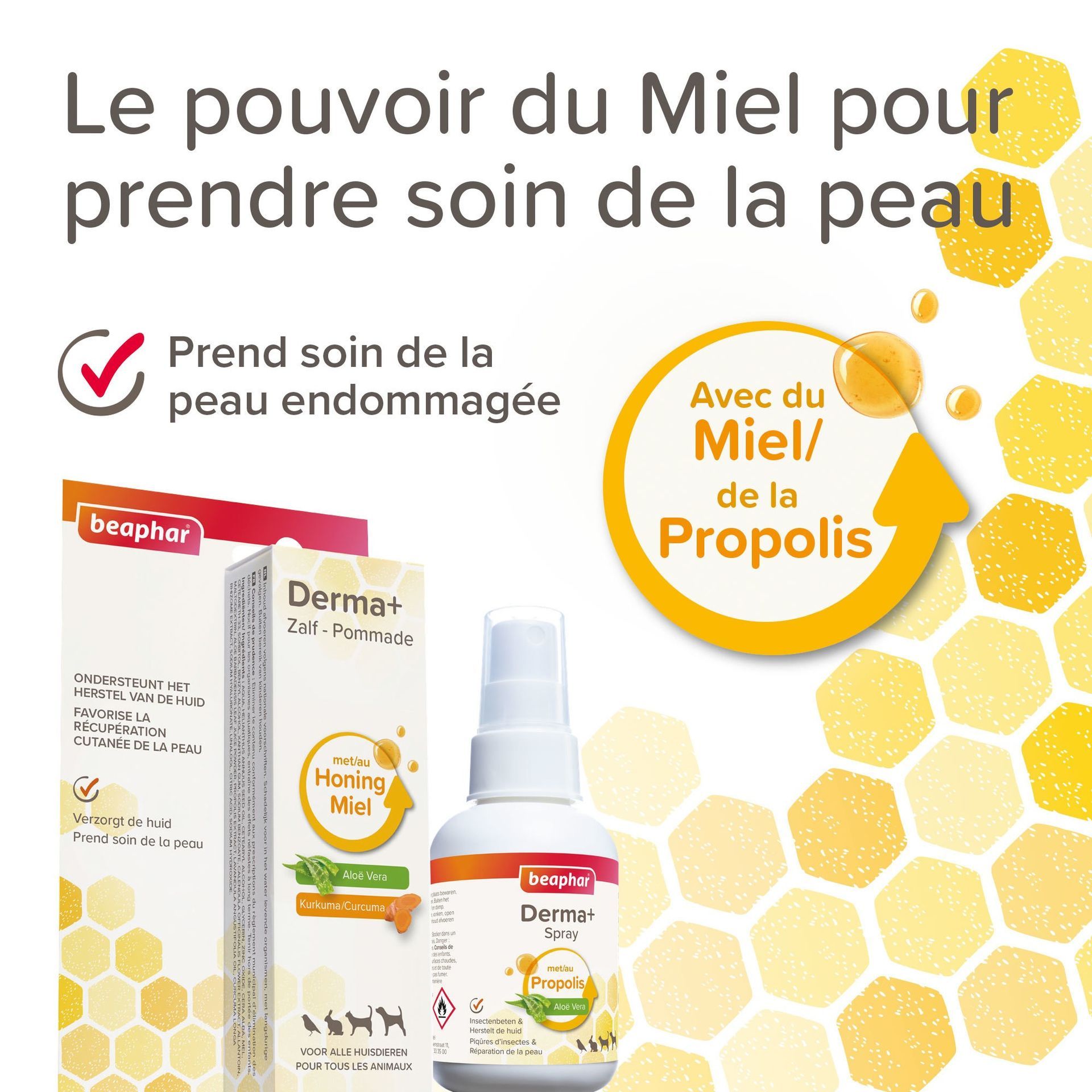 Pommade pour plaies chat et chien 30 ml - BEAPHAR