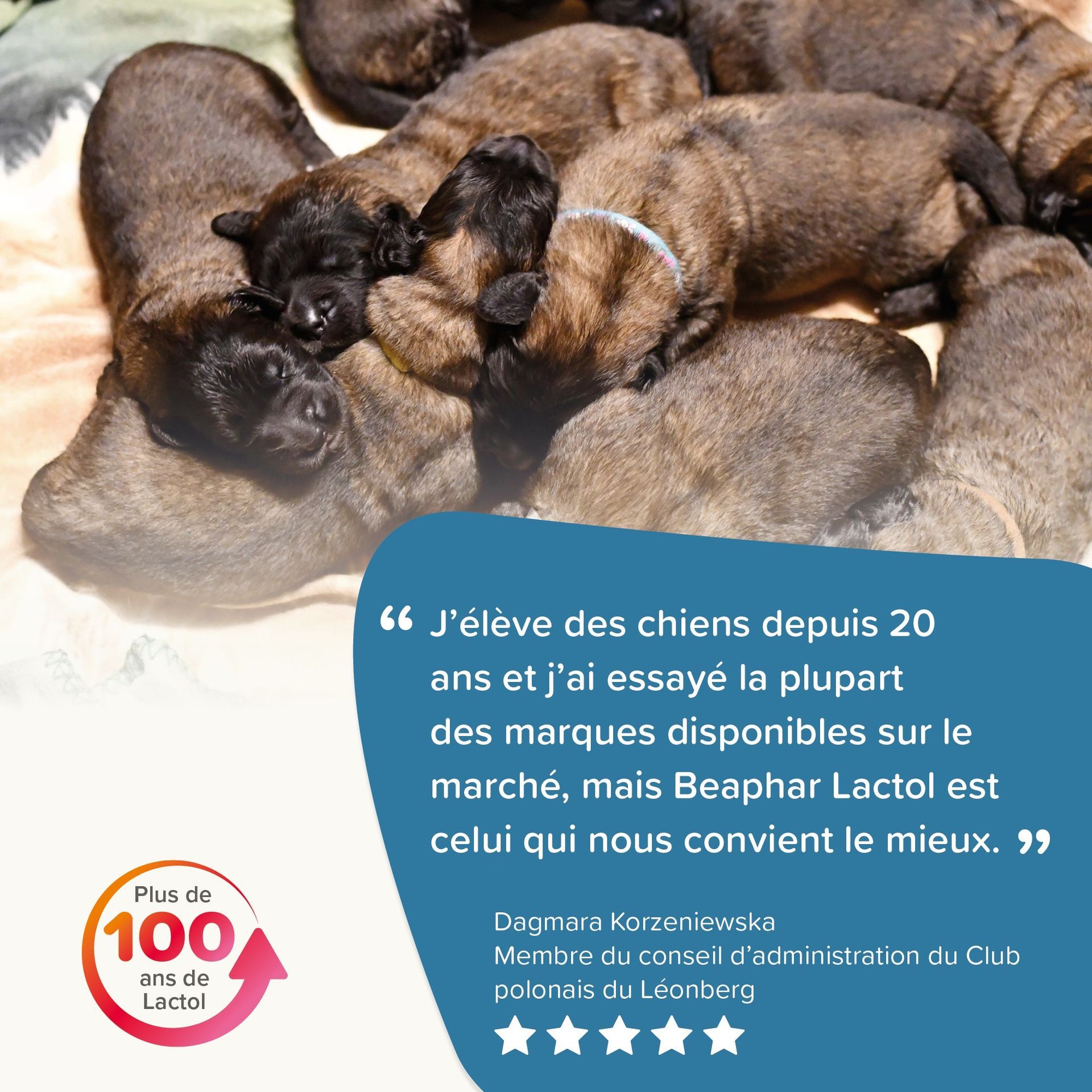 Lait maternisé pour chiot Lactol 250g - BEAPHAR