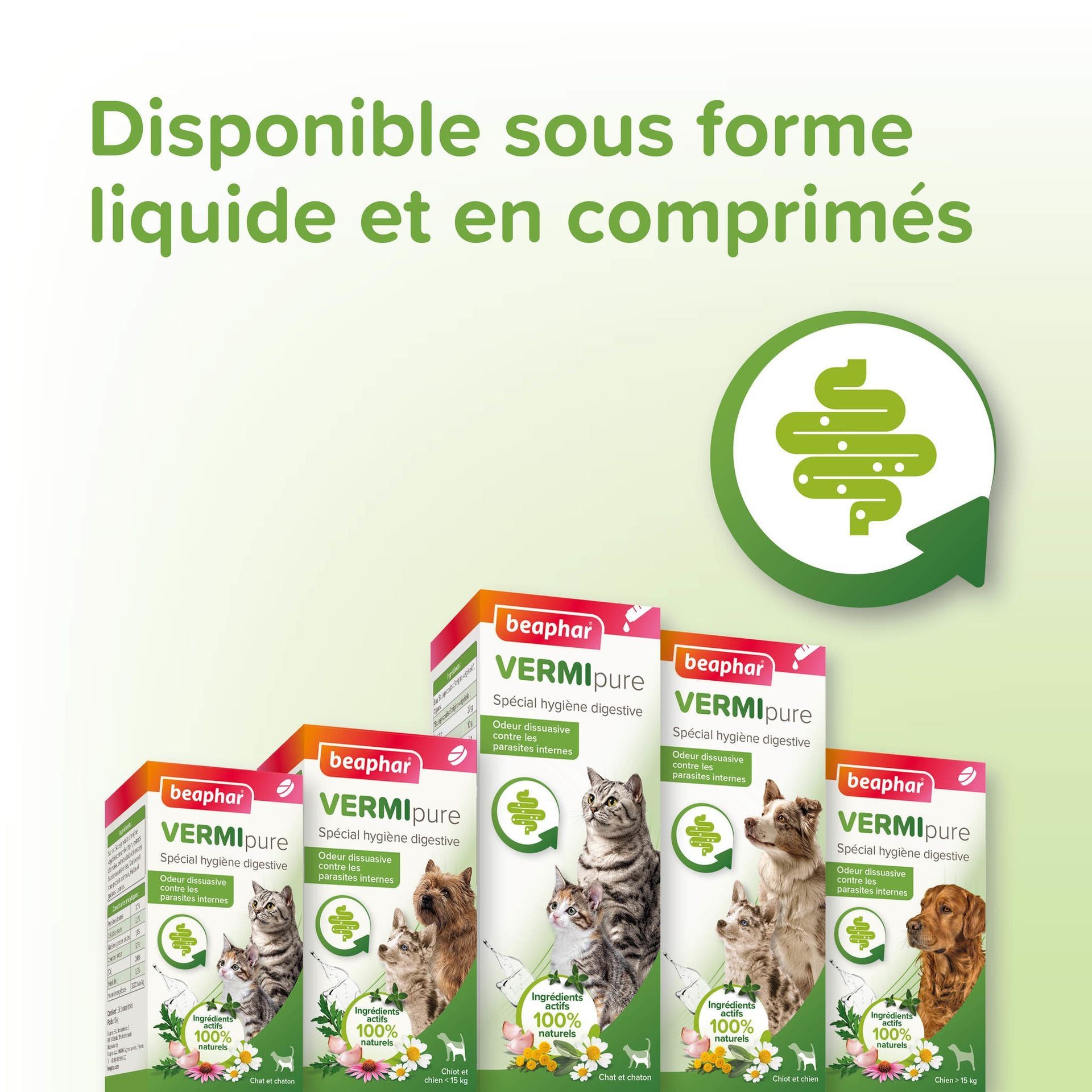 Vermipure, purge comprimés pour chien adulte vermipure x 50 BEAPHAR