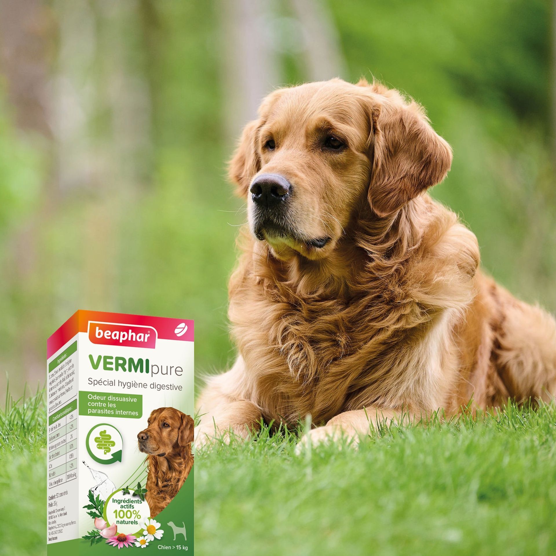Vermipure, purge comprimés pour chien adulte vermipure x 50 BEAPHAR