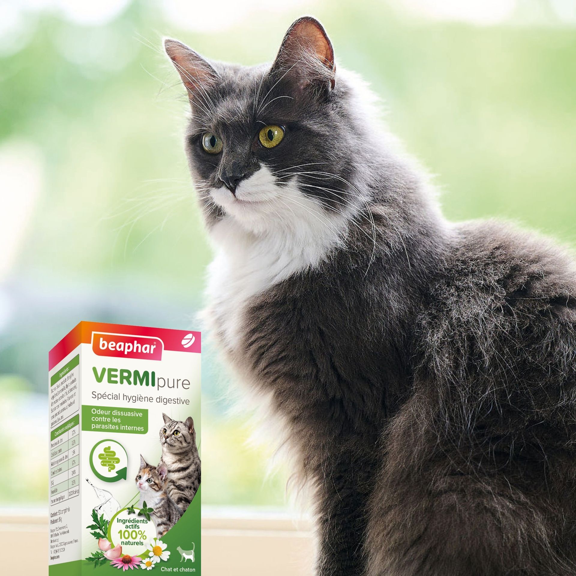 Comprimés VERMIpure pour chaton et chat x50 – Beaphar - vue 6
