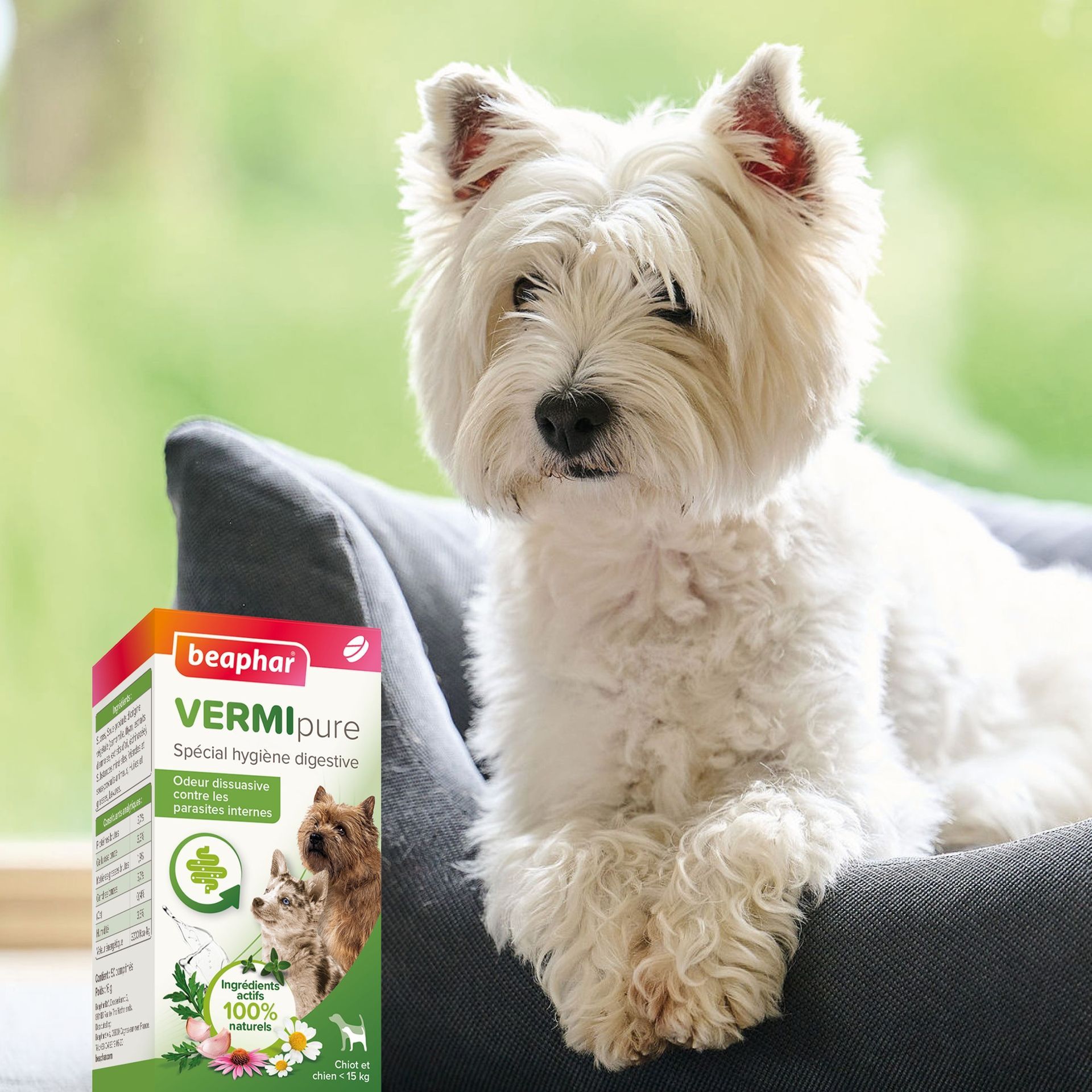 Vermipure, purge comprimés pour chiot et chien adulte x 50 – Beaphar