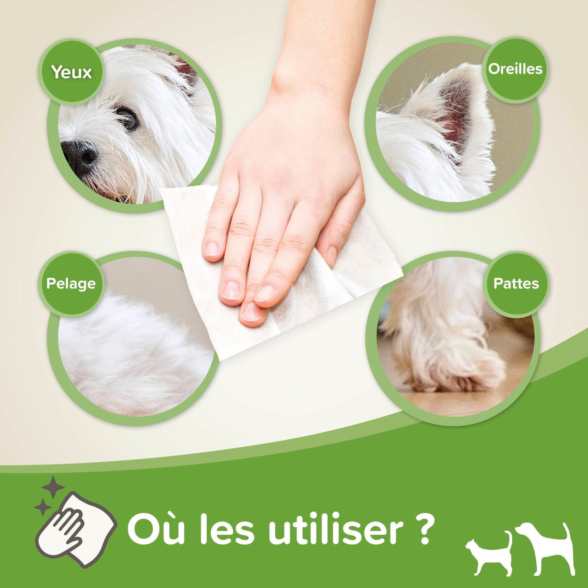 Lingettes nettoyantes pour chien et pour chat x 100 – Beaphar