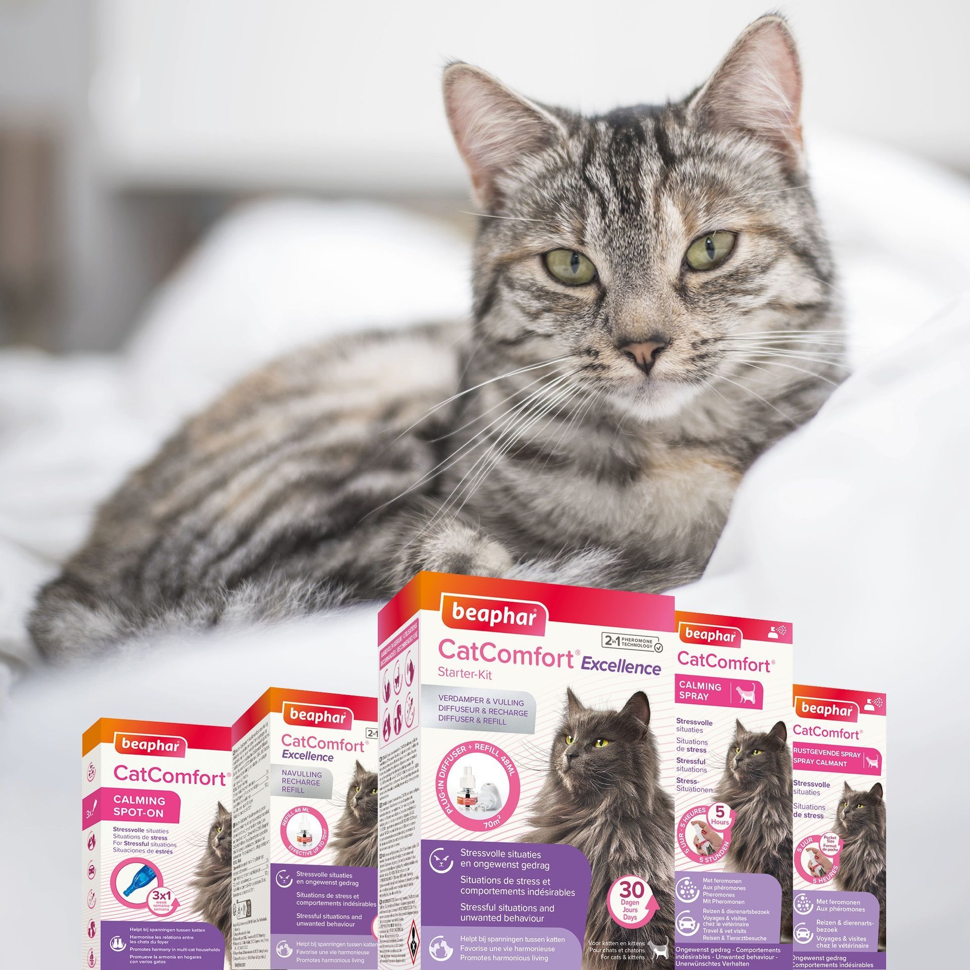 Spray pour chat aux phéromones CatComfort 30 ml - BEAPHAR
