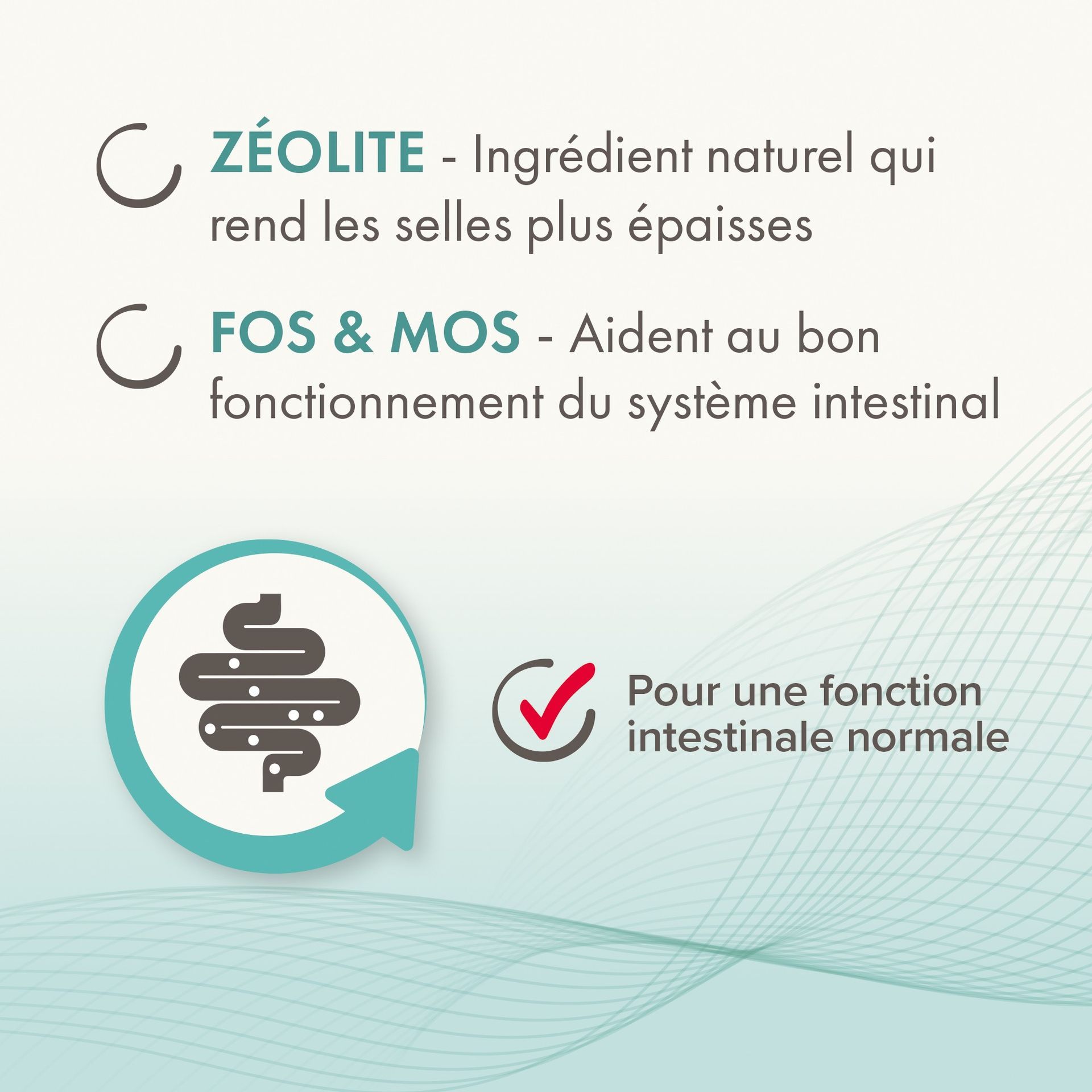 IntestoPro, Pâte pour Chat et Petit Chien (< 15 kg) - 20 ml – Beaphar - vue 5
