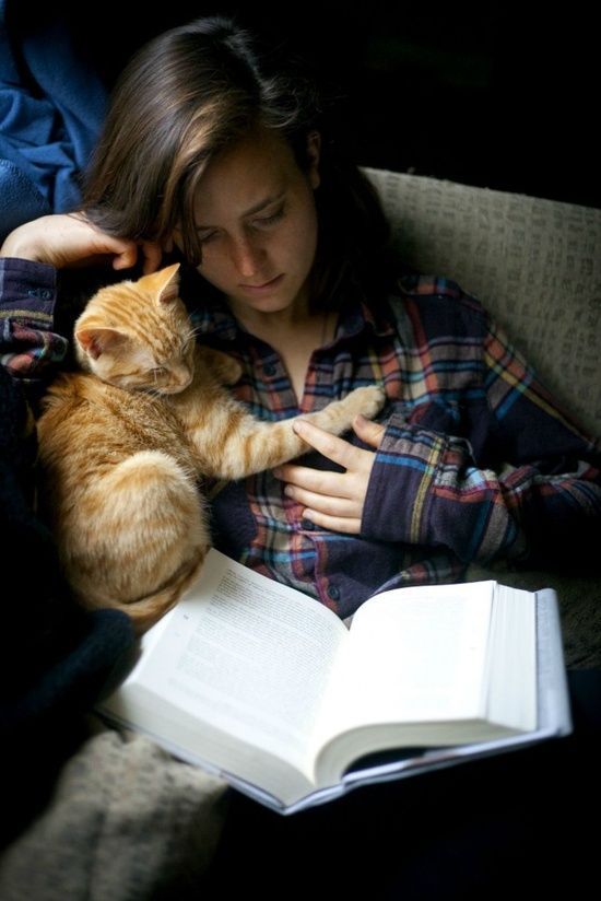 Une personne lisant sur un canapé, un chat roux se reposant à côté d'un livre ouvert