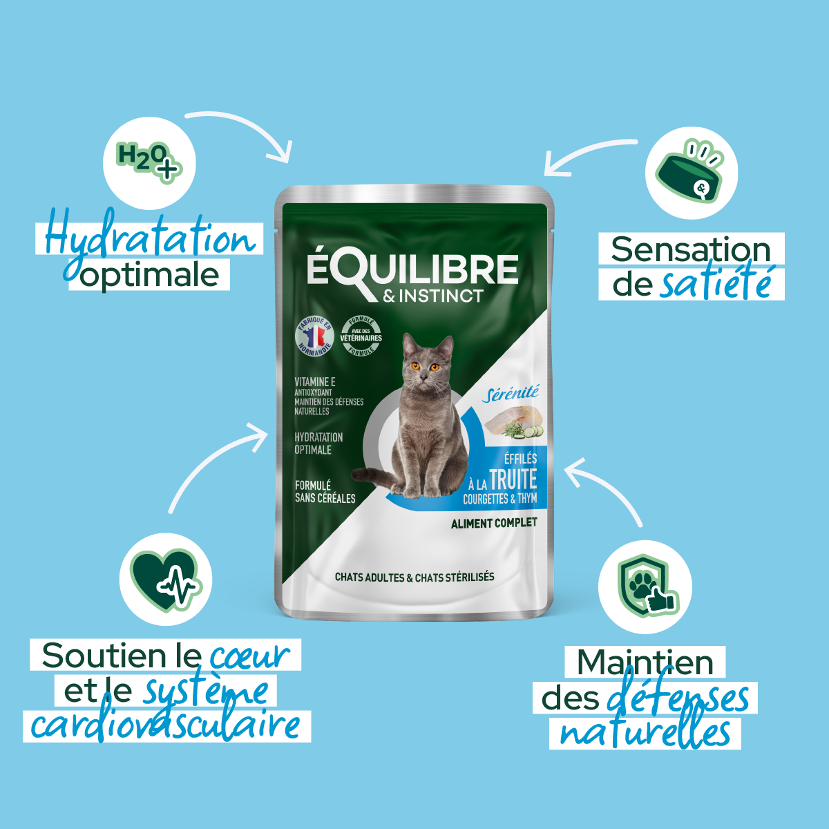 Effilés à la truite, courgettes & thym pour chat stérilisé et chat adulte 85 g - Équilibre & Instinct