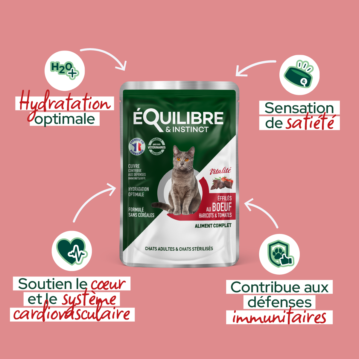 Effilés au bœuf, haricots & tomates pour chat stérilisé et chat adulte 85 g - Équilibre & Instinct