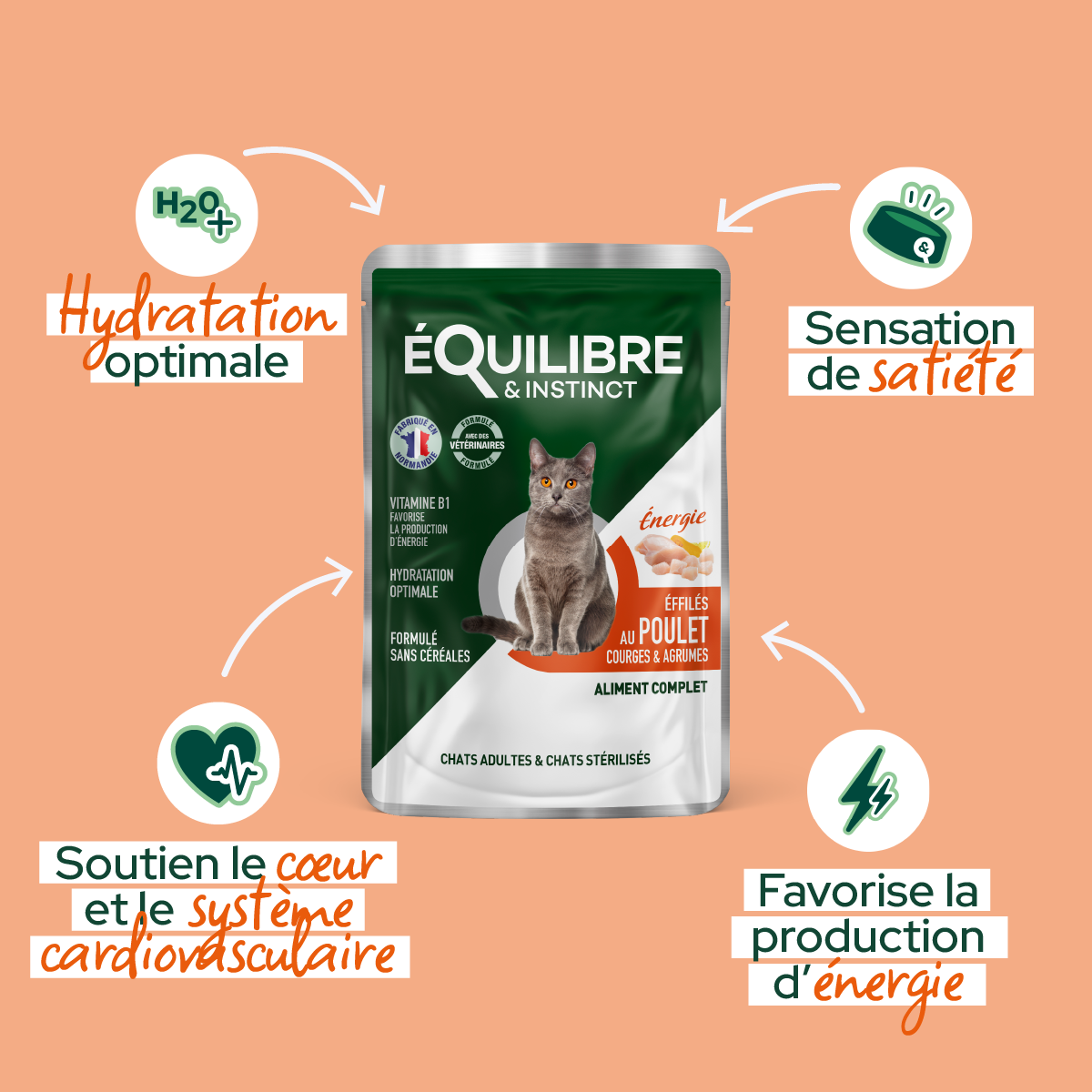 Effilés au poulet, courges & agrumes pour chat stérilisé et chat adulte 85 g - Équilibre & Instinct