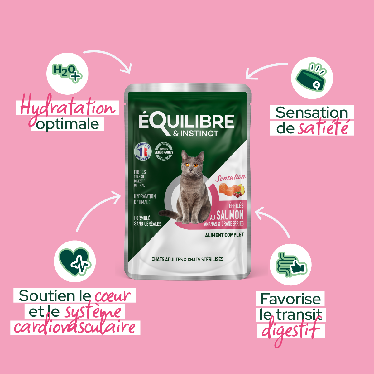 Effilés au saumon, ananas & cranberries pour chat stérilisé et chat adulte 85 g - Équilibre & Instinct
