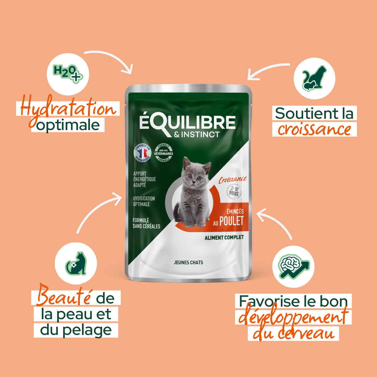 Émincés au poulet pour chaton - Équilibre & Instinct photo principale