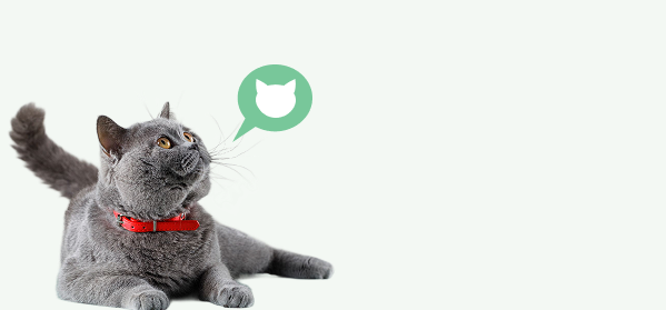 Chat gris avec un nœud papillon rouge, bulle de pensée verte avec une icône de chat sur fond blanc.