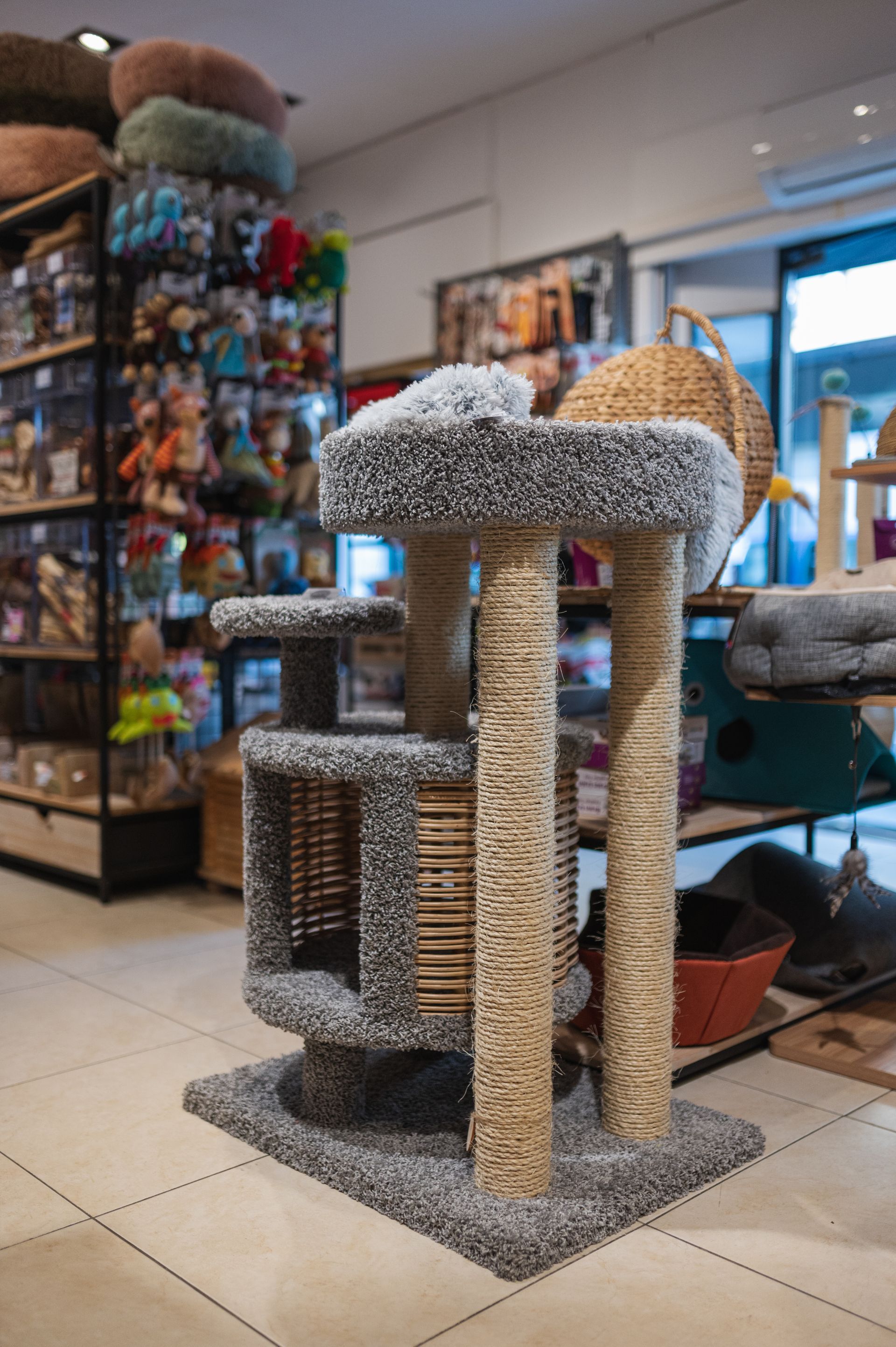 Arbre à chat à plusieurs niveaux et poteaux à griffer dans une animalerie.