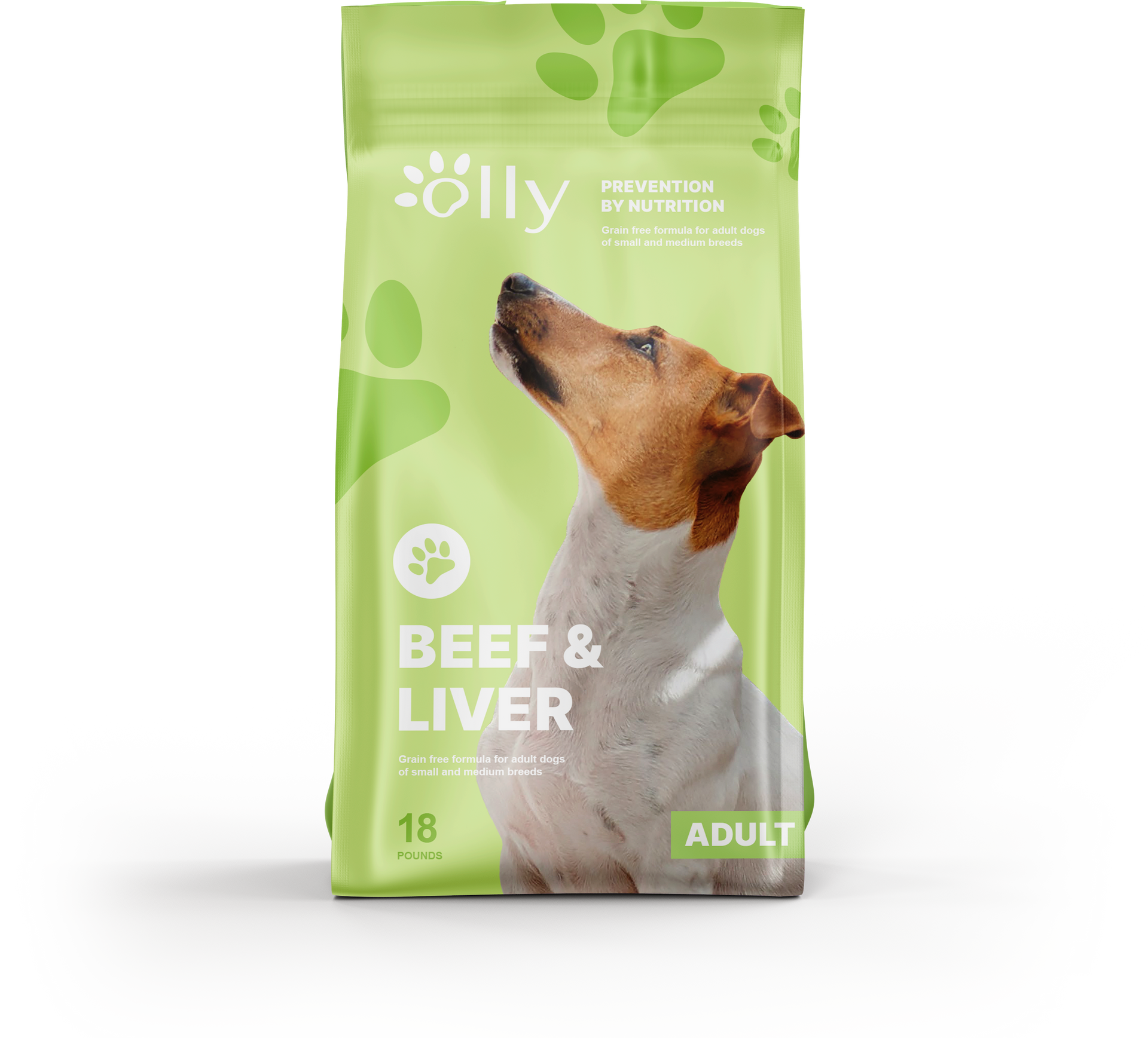 Sac de croquettes Olly Bœuf et Foie pour chien adulte. Illustration d'un chien regardant vers le haut sur un fond vert clair.