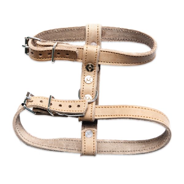 Harnais pour chien en cuir beige avec sangles réglables et boucles métalliques.