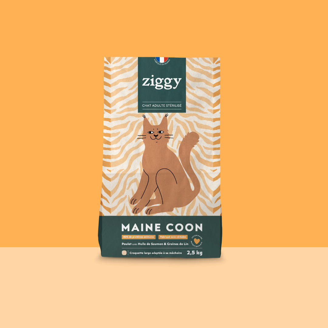 Croquettes Maine Coon poulet 2,5 kg - Ziggy
