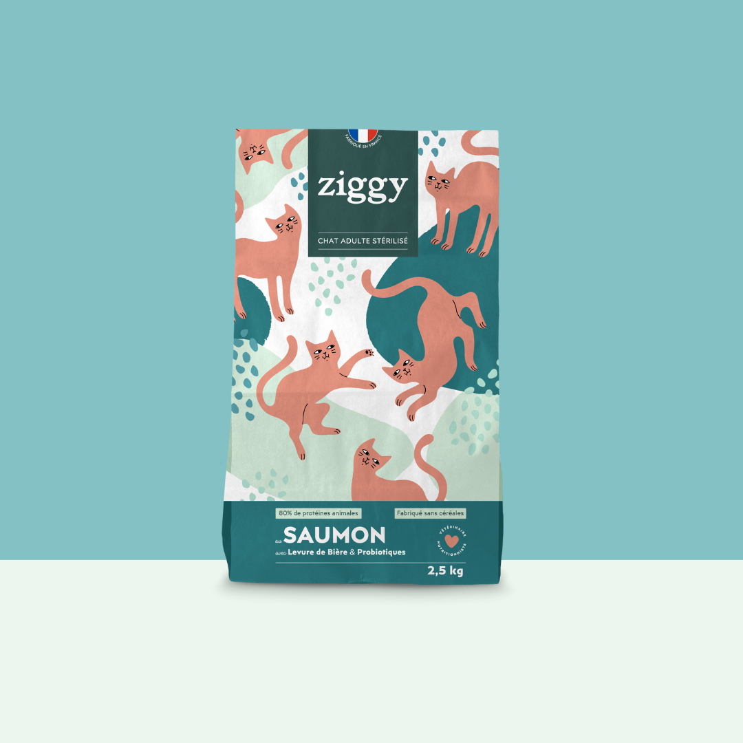 Croquettes chat stérilisé saumon 1 kg / 2,5 kg - Ziggy