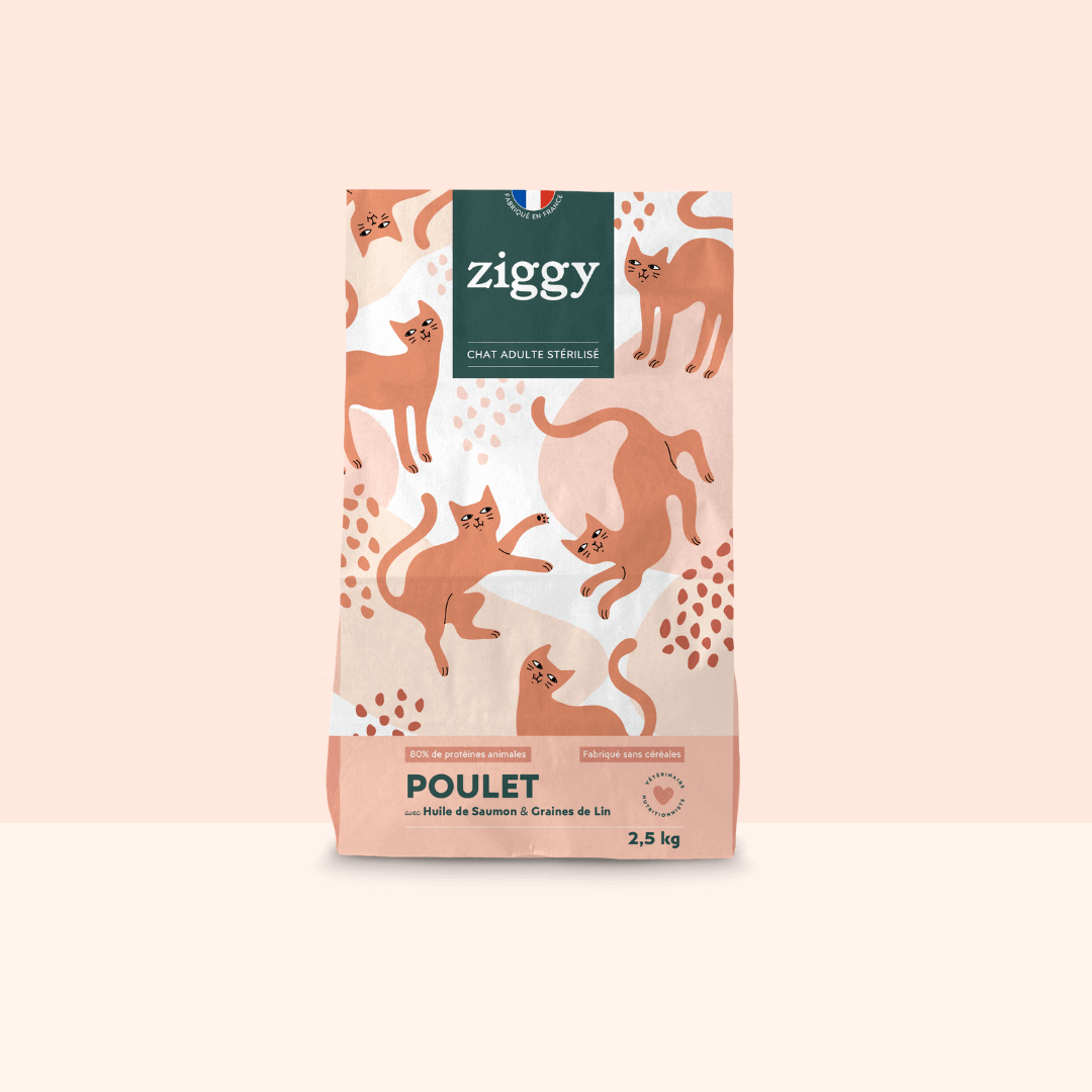 Croquettes chat stérilisé poulet 1 kg / 2,5 kg - Ziggy