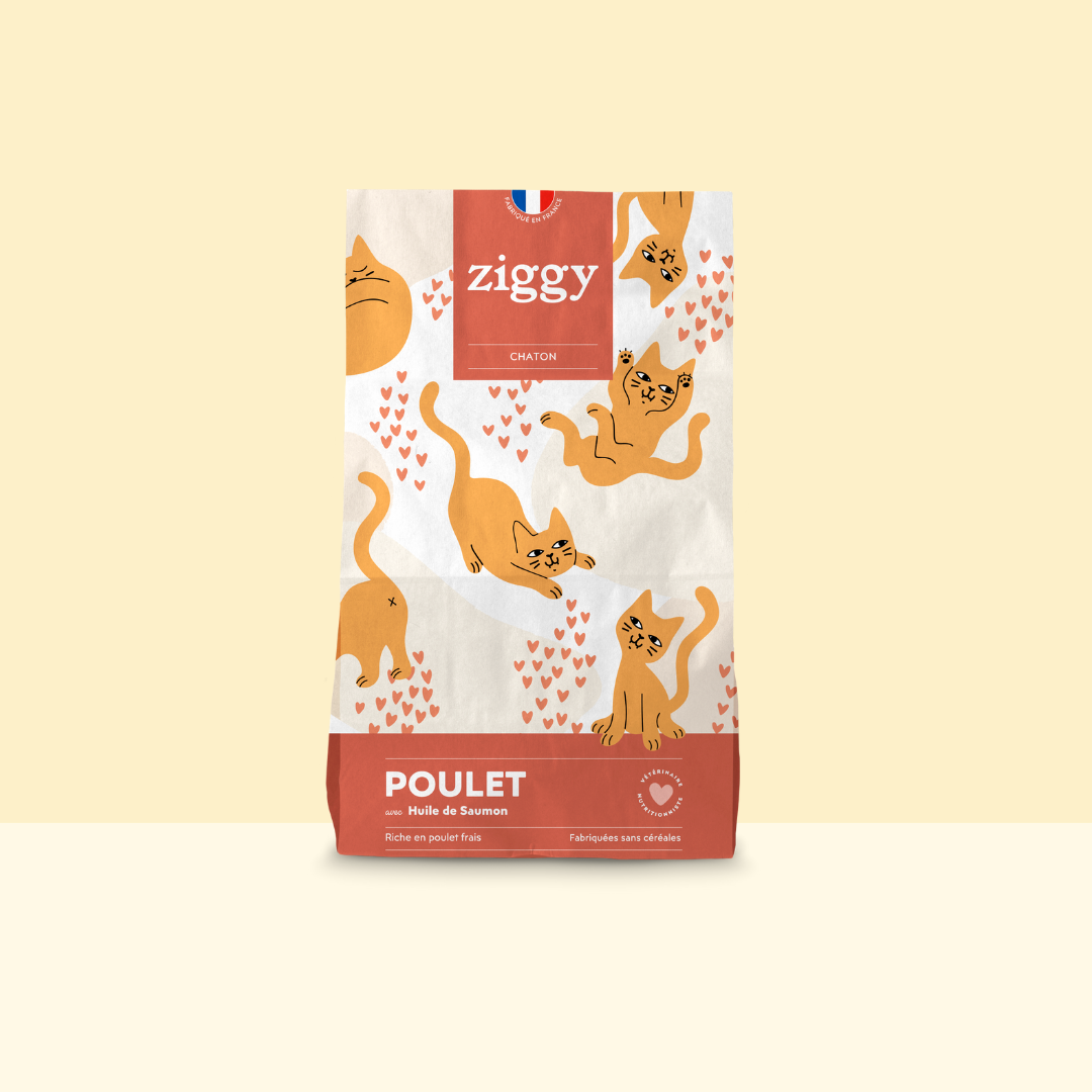 Croquettes chaton poulet 1 kg - Ziggy