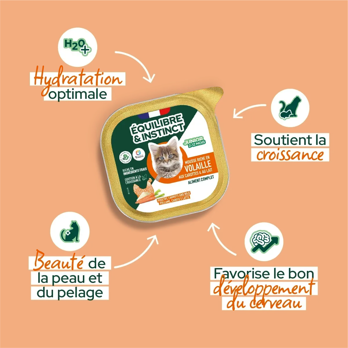 Mousses riches en volaille & aux carottes pour chaton - Équilibre & Instinct composition et conseils d'utilisation