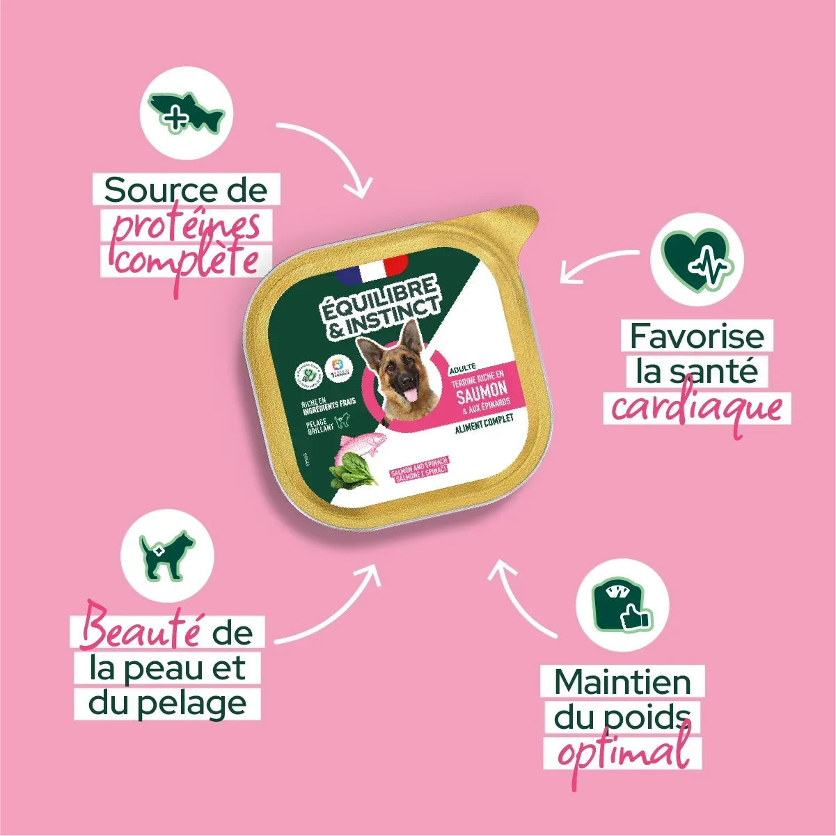 Pâtées riches en saumon & aux épinards pour chien adulte - Équilibre & Instinct composition et conseils d'utilisation