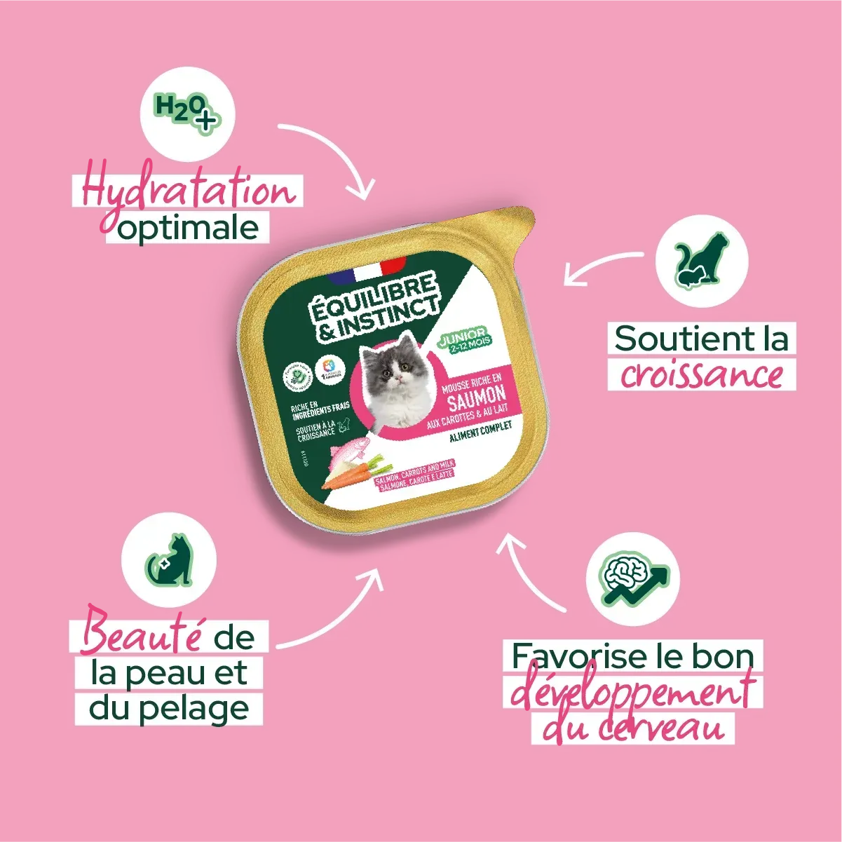 Mousses riches en saumon & aux carottes pour chaton - Équilibre & Instinct composition et conseils d'utilisation