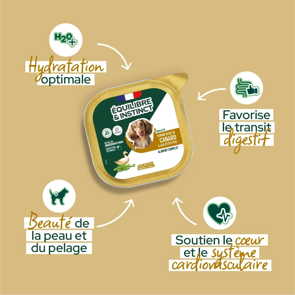 Pâtées riches en canard & aux petits pois pour chien adulte - Équilibre & Instinct composition et conseils d'utilisation
