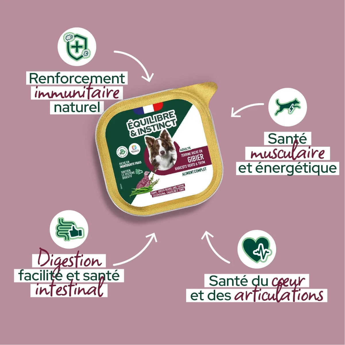 Pâtées riches en gibier, haricots verts & thym pour chien adulte - Équilibre & Instinct composition et conseils d'utilisation