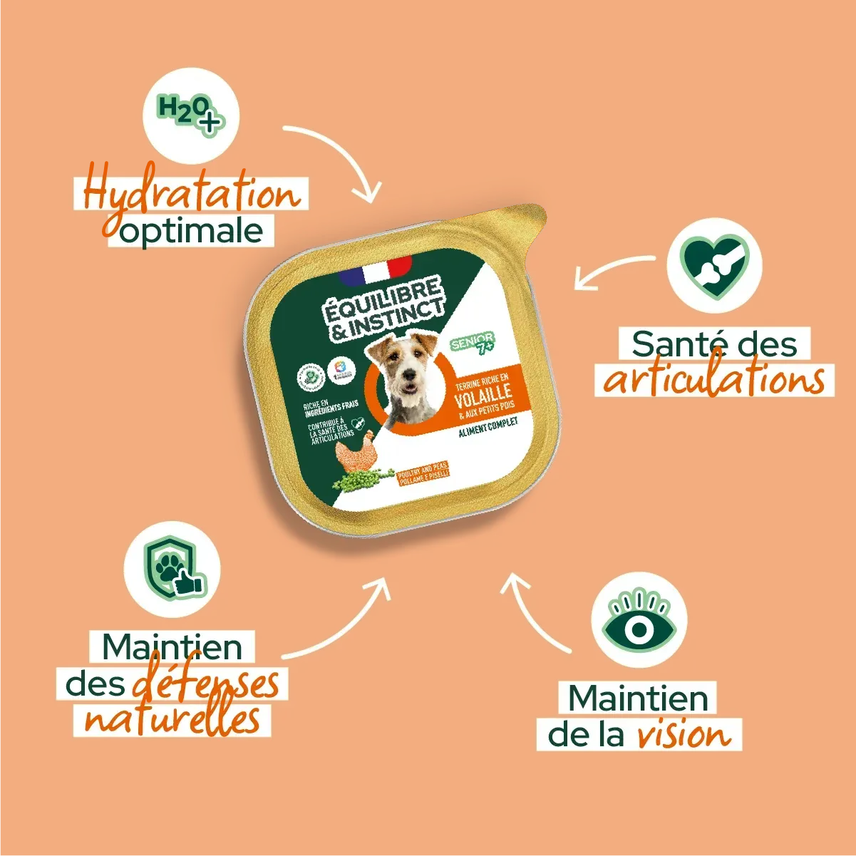 Pâtées riches en volaille & aux petits pois pour chien âgé - Équilibre & Instinct composition et conseils d'utilisation