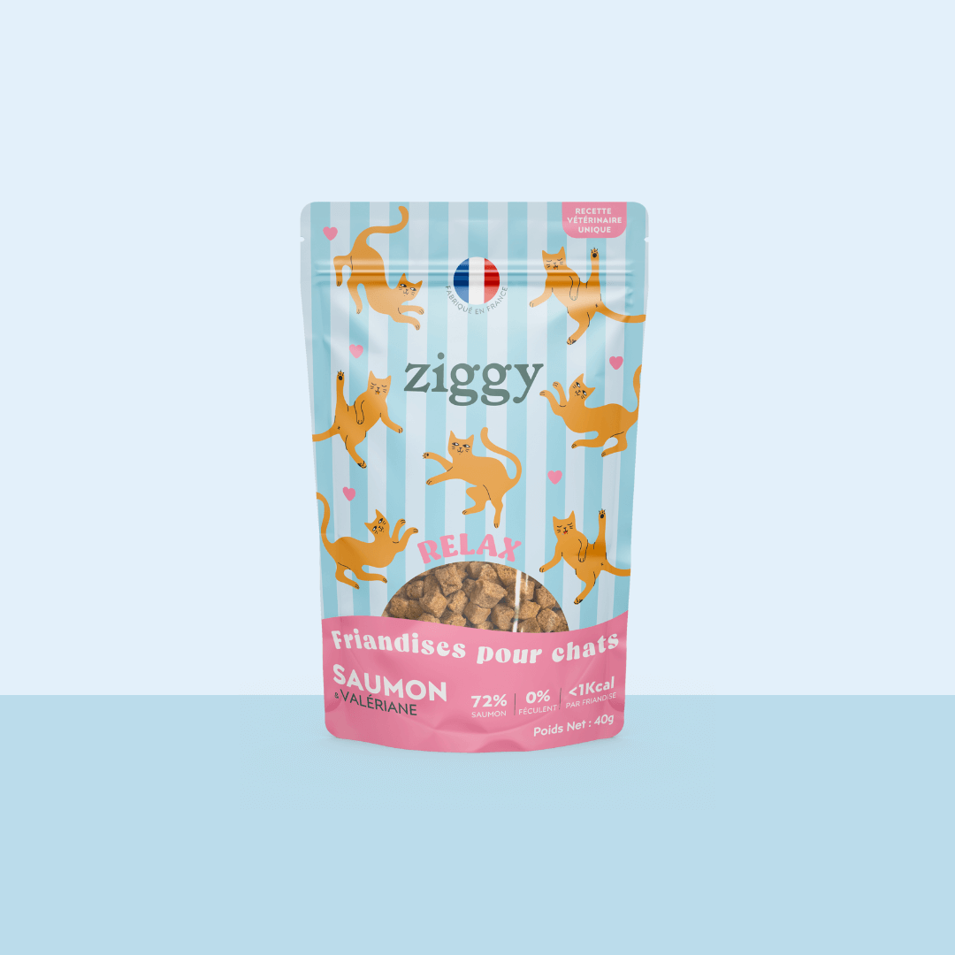 Friandises Relax saumon 40 g - Ziggy