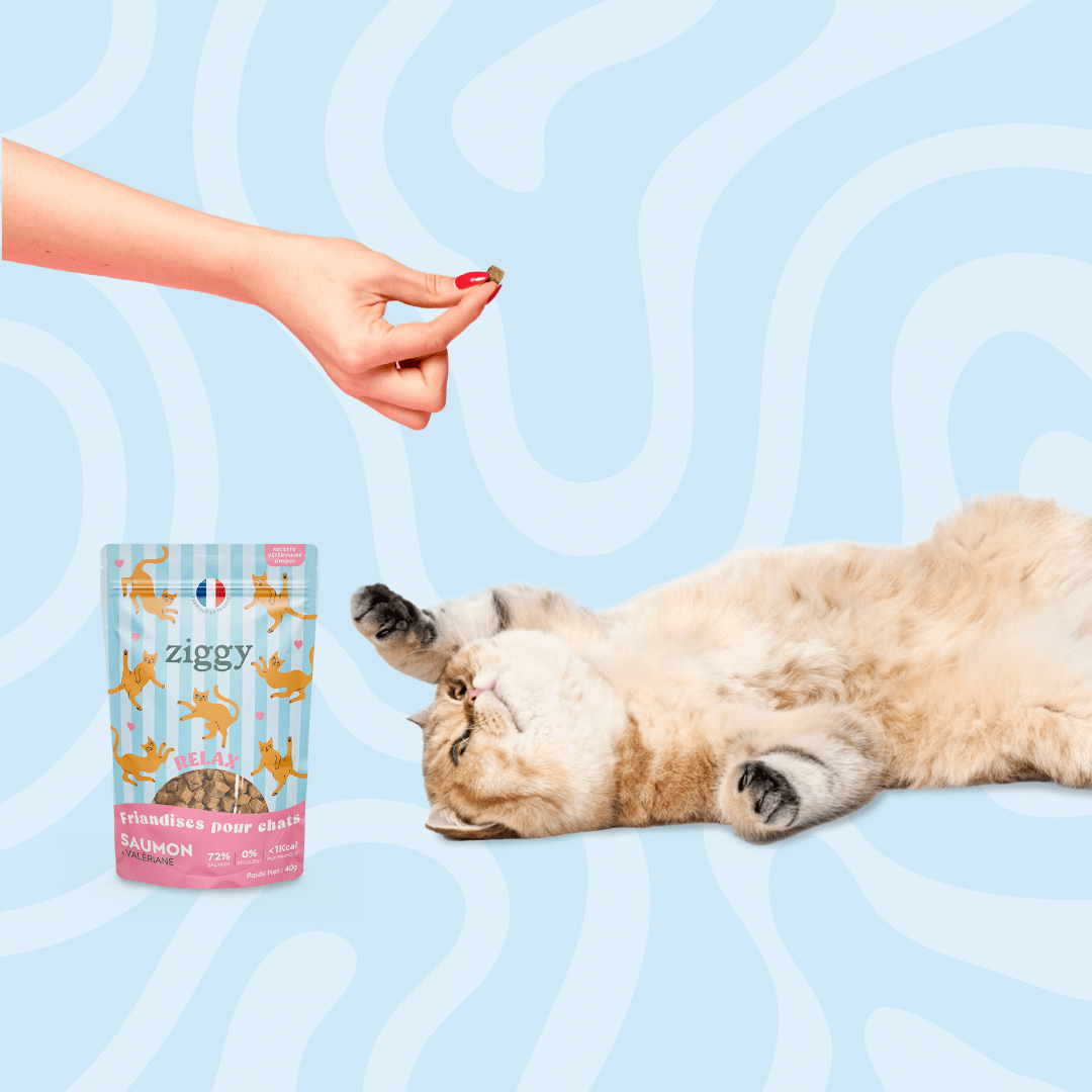 Friandises Relax saumon 40 g - Ziggy
