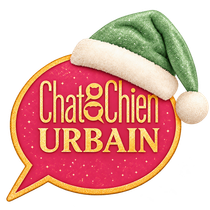 Chat Chien Urbain – Nice Chat Chien Urbain – animalerie chat et chien à Nice