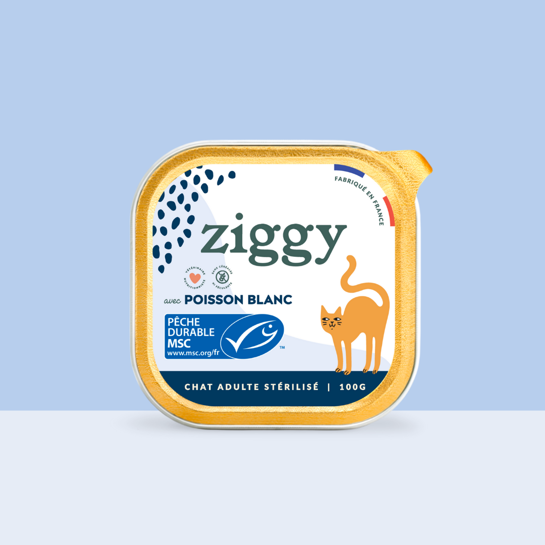 Pâtées pour chat 4 x 100 g - Ziggy