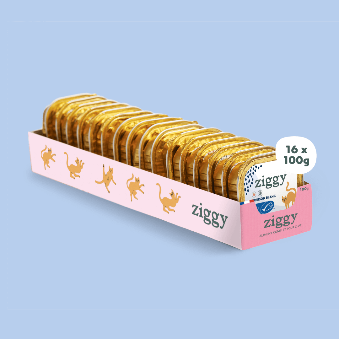 Pâtées pour chat 4 x 100 g - Ziggy