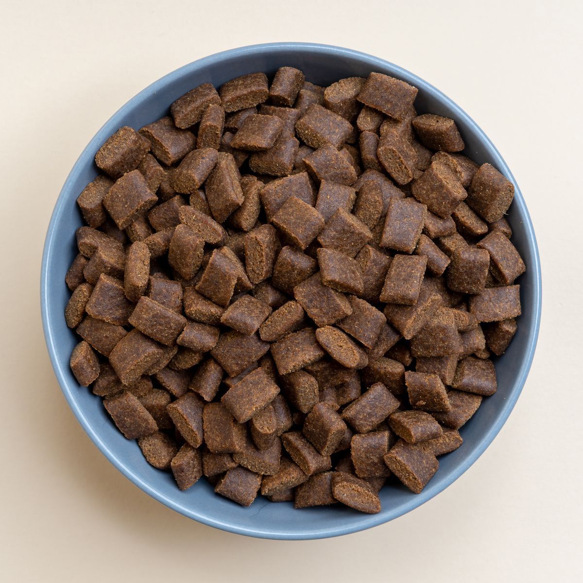 Bol bleu de croquettes pour chien vu de dessus