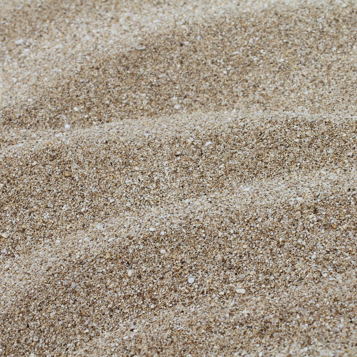 Cristaux clairs et grains blancs en gros plan