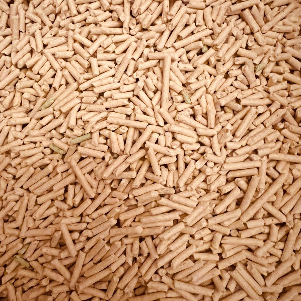 Granulés de bois végétaux vus de dessus