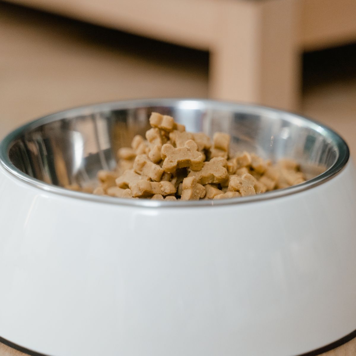Gamelle de croquettes pour chien